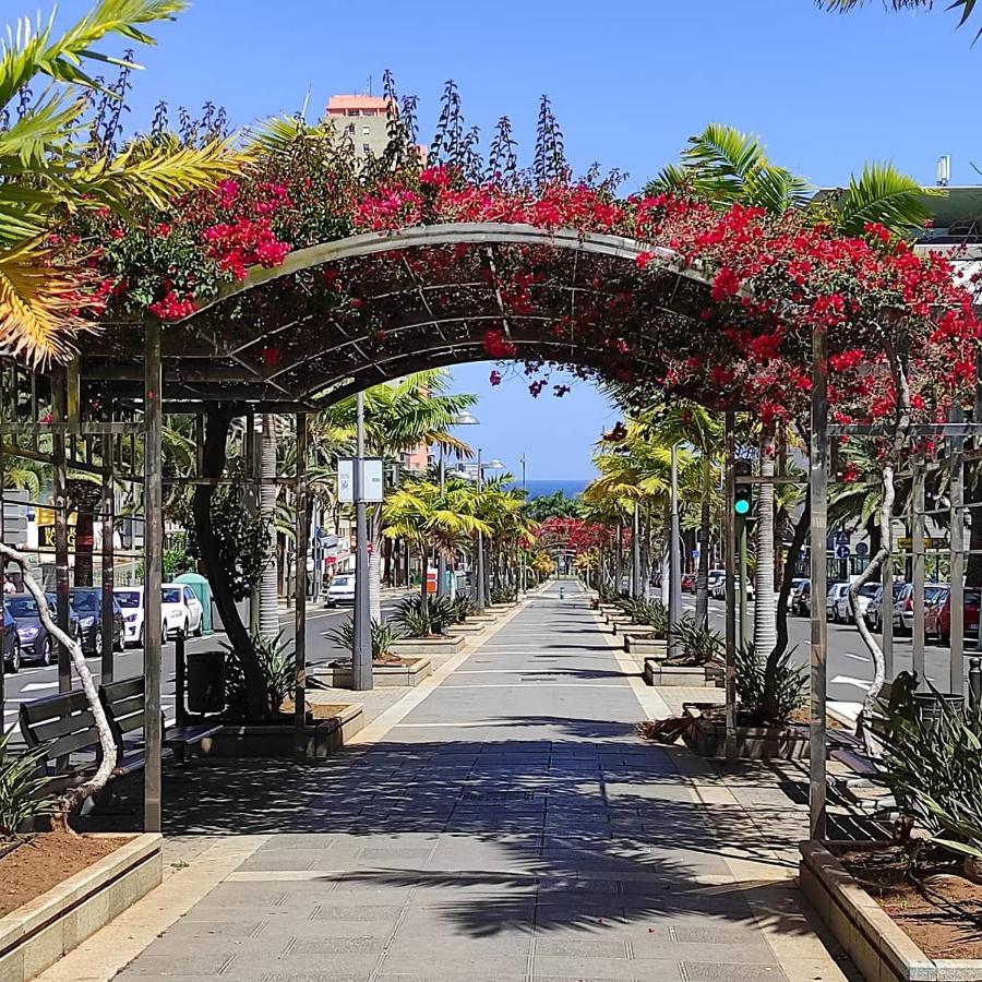 Apartamento Bien Situado - Buenas Conexiones Santa Cruz de Tenerife Luaran gambar